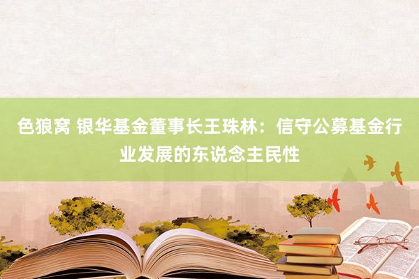 色狼窝 银华基金董事长王珠林：信守公募基金行业发展的东说念主民性