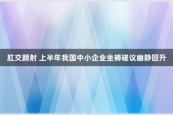 肛交颜射 上半年我国中小企业坐褥磋议幽静回升