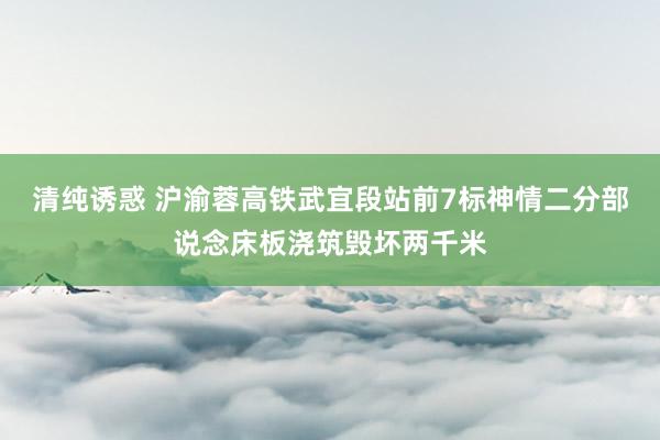 清纯诱惑 沪渝蓉高铁武宜段站前7标神情二分部说念床板浇筑毁坏两千米