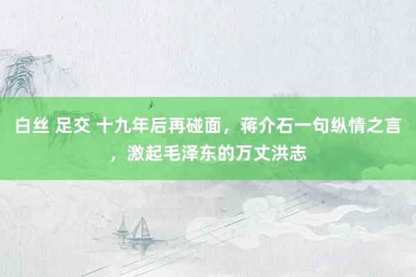 白丝 足交 十九年后再碰面，蒋介石一句纵情之言，激起毛泽东的万丈洪志