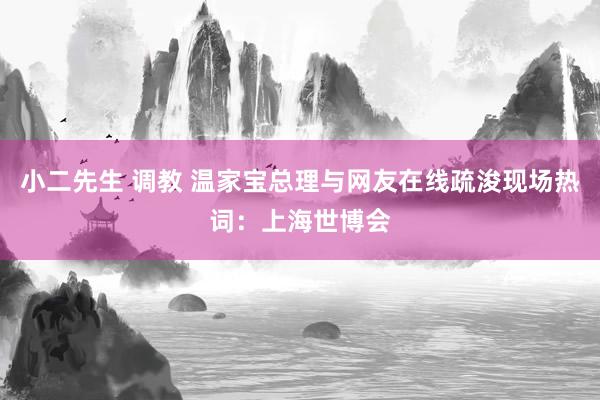 小二先生 调教 温家宝总理与网友在线疏浚现场热词：上海世博会