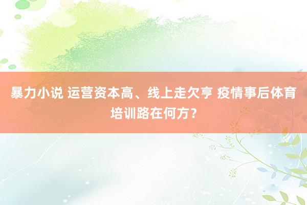 暴力小说 运营资本高、线上走欠亨 疫情事后体育培训路在何方？