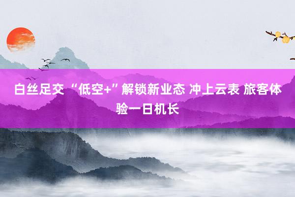 白丝足交 “低空+”解锁新业态 冲上云表 旅客体验一日机长